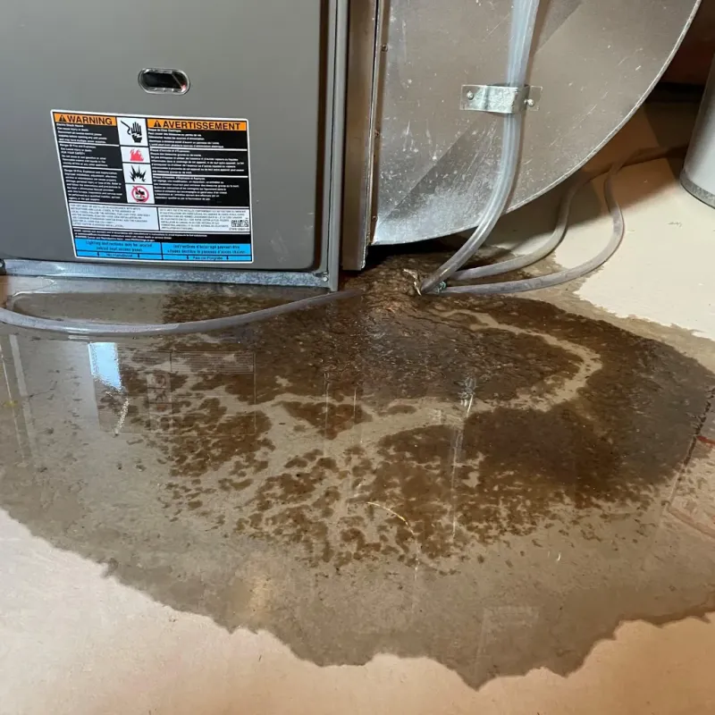 Appliance Leak Cleanup in Saint Joseph, MI